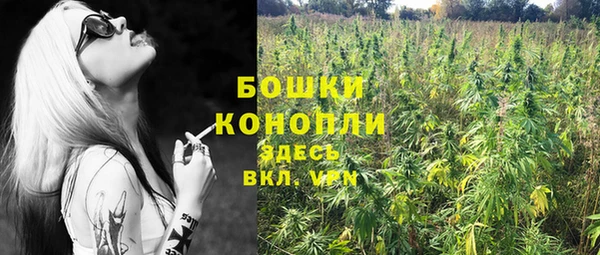 первитин Инта