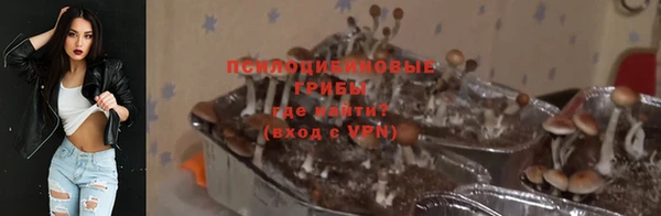 первитин Инта